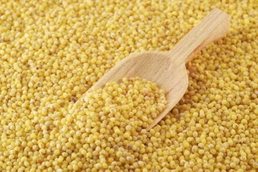 11 žitarica koje ne sadrže gluten