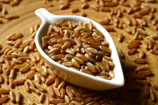 11 žitarica koje ne sadrže gluten 11 žitarica koje ne sadrže gluten
