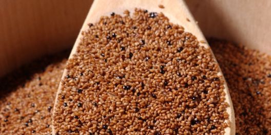 11 žitarica koje ne sadrže gluten 11 žitarica koje ne sadrže gluten