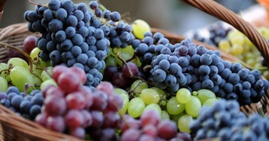 Top 10 namirnica koje nas podmlađuju !