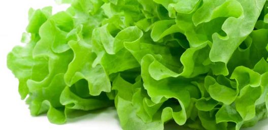 Top 10 namirnica koje nas podmlađuju !