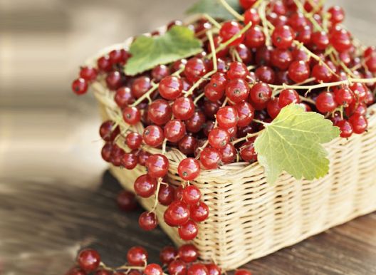 14 namirnica koje pomažu spržiti kilograme