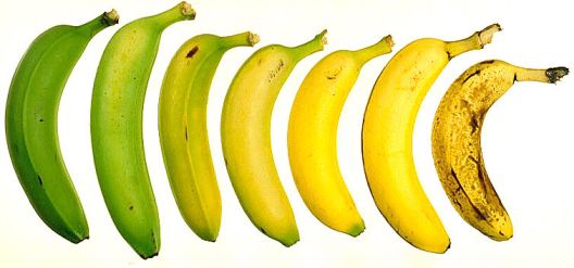 5 super načina kako da iskoristite višak limuna 5 super načina kako da iskoristite višak limuna