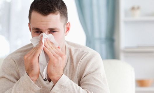 Prehlada ili alergija: Koje su razlike?