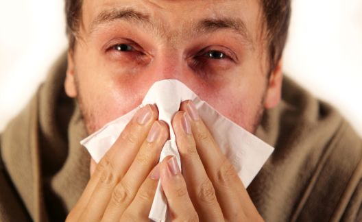 Prehlada ili alergija: Koje su razlike?