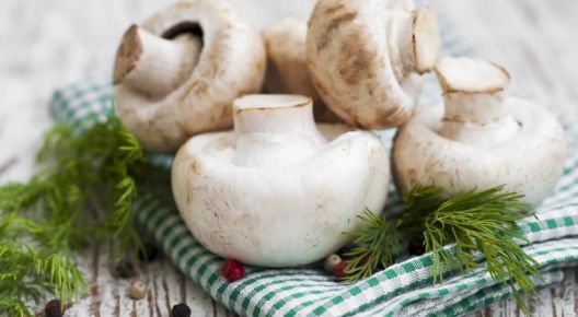 Hrana koju trebate i ne smijete prati Hrana koju trebate i ne smijete prati