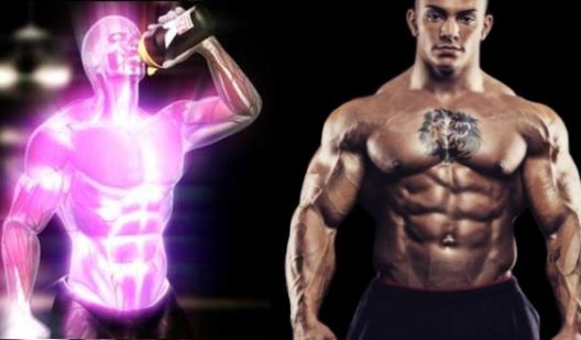 Kreatin je i više od suplementa, evo i zašto Kreatin je i više od suplementa, evo i zašto