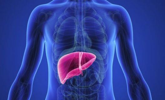 8 znakova tijela da se bori sa deficitom proteina