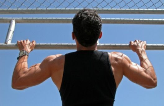 Armstrongov program za zgibove