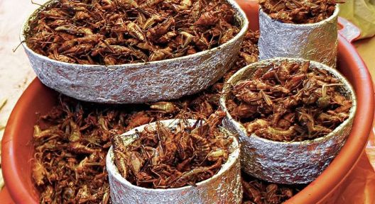 Gorka istina za sve ljubitelje slatkiša