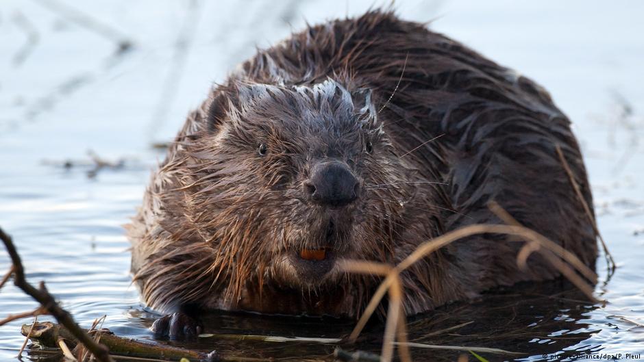 Gorka istina za sve ljubitelje slatkiša