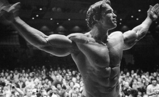 Postanite šampioni u teretani i u svemu što radite Postanite šampioni u teretani i u svemu što radite