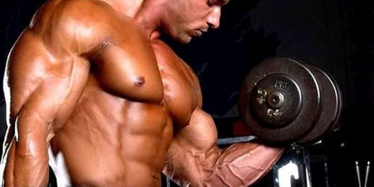 Zrnati sir: Pun proteina i odličan izvor kalcija