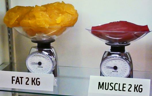 Trčanjem do mršanja: 6 razloga zašto ne uspijevate