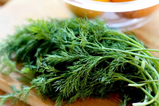 Zdravlje iz prirode: Za šta je dobar koji začin?