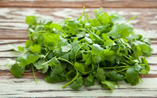 Zdravlje iz prirode: Za šta je dobar koji začin?