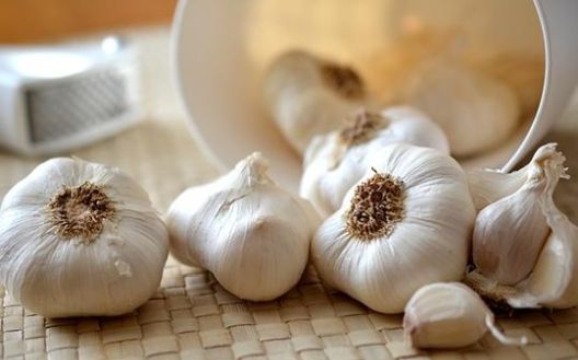 Zdravlje iz prirode: Za šta je dobar koji začin?