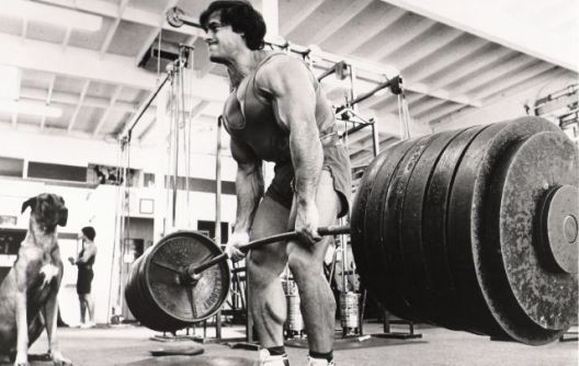 Kako povećati snagu: Pet istina o vječnom pitanju Kako povećati snagu: Pet istina o vječnom pitanju