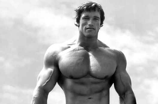 Citati slavnih bodybuildera koji će vas motivisati