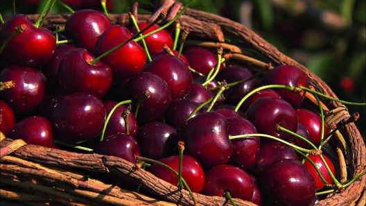 10 grickalica koje smijete jesti prije spavanja