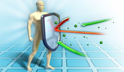 S prestankom unosa šećera kreću čudesne promjene