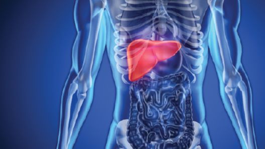 S prestankom unosa šećera kreću čudesne promjene