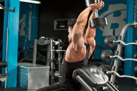 Dan ruku: Trening program za biceps i triceps