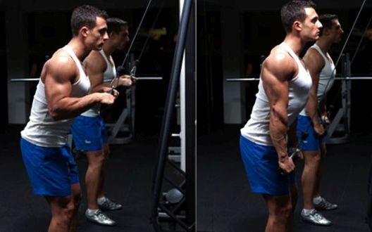 Dan ruku: Trening program za biceps i triceps
