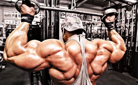 Kako se hrani Roelly Winklaar?