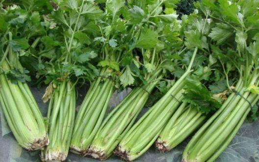 10 rješenja za sve koji imaju problem sa varenjem