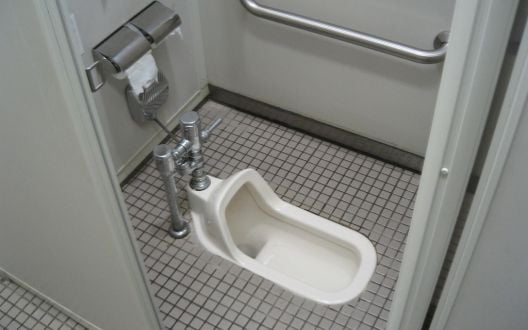 Ugledajmo se: Zašto Azijati nisu debeli?