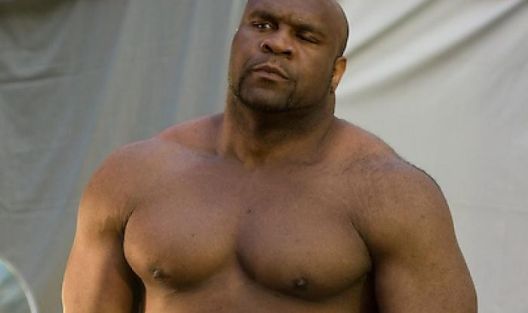 Divovi u oktogonu: Najveći MMA borci ikada viđeni