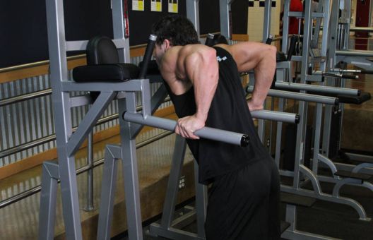 Osnovne vježbe za povećanje mišićne mase