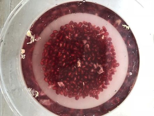 3 jednostavna načina da očistite nar