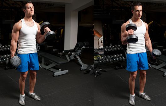 Vježbe za ruke: Top 10 nezaobilaznih