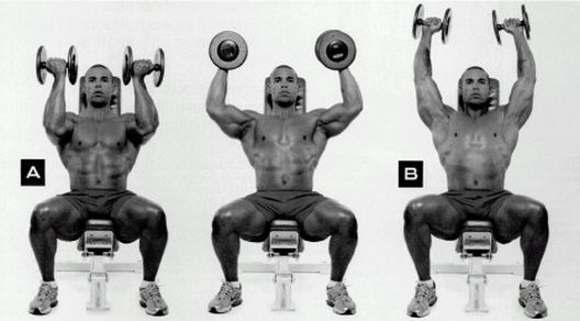 Vježbe s bučicama za prženje masnih naslaga