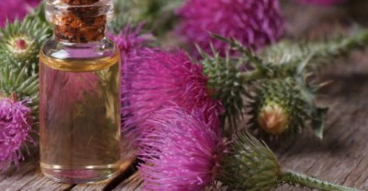 7 trikova za bujne i čvrste grudi