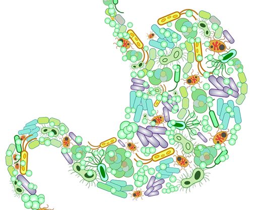 Šta morate imati u kućnoj apoteci?