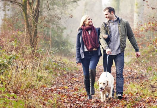 Zabavnim vježbama do vitkog tijela