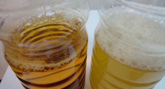 Kako pronaći lažni med i raskrinkati varalice