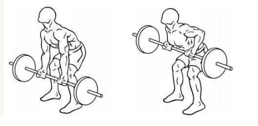 Vježbe za biceps: Pet najefikasnijih Vježbe za biceps: Pet najefikasnijih