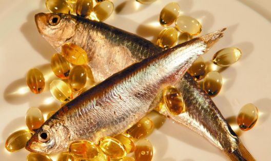 Endomorf i skidanje sala: Kako pobijediti u borbi?