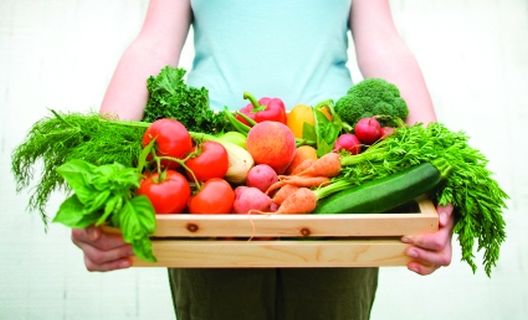 Endomorf i skidanje sala: Kako pobijediti u borbi?