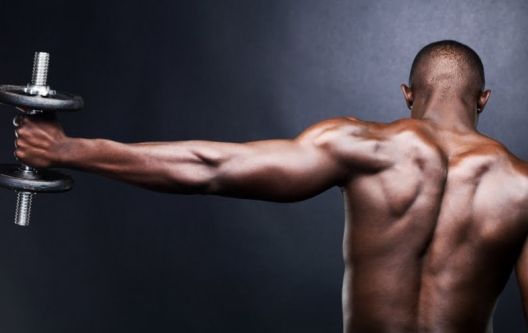 20 činjenica o dizanju tegova koje niste znali 20 činjenica o dizanju tegova koje niste znali