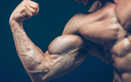 20 činjenica o dizanju tegova koje niste znali