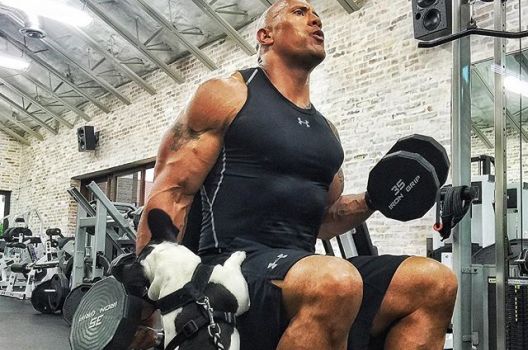 10 jednostavno fantastičnih izjava The Rocka