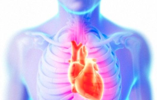 Najveći razlozi zašto lift zamijeniti stepenicama Najveći razlozi zašto lift zamijeniti stepenicama