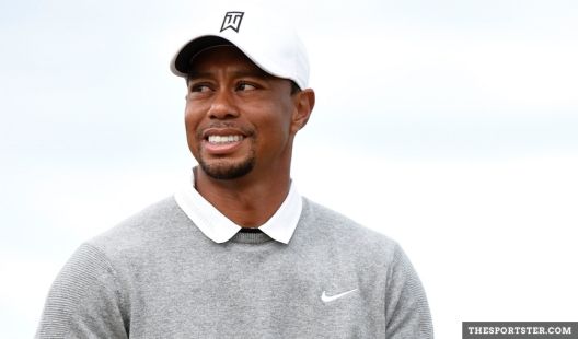 15 statistički najdominantnijih sportista ikad 15 statistički najdominantnijih sportista ikad