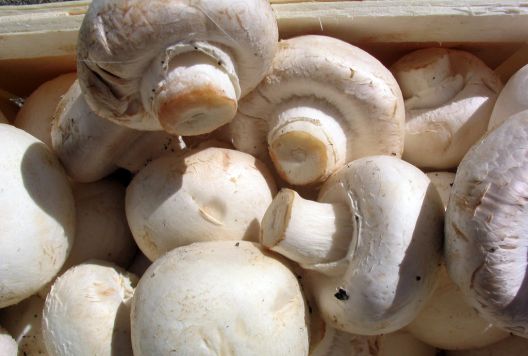 Namirnice koje podgrijavanjem postaju opasne