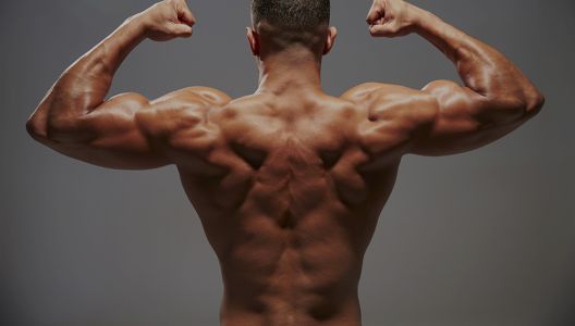 Vježbanje stomaka i 10 najvećih grešaka